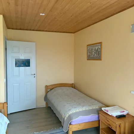 5 Bedroom House 度假居 Roosisaare